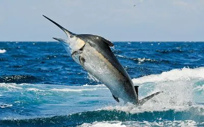 deep fishing Siargao