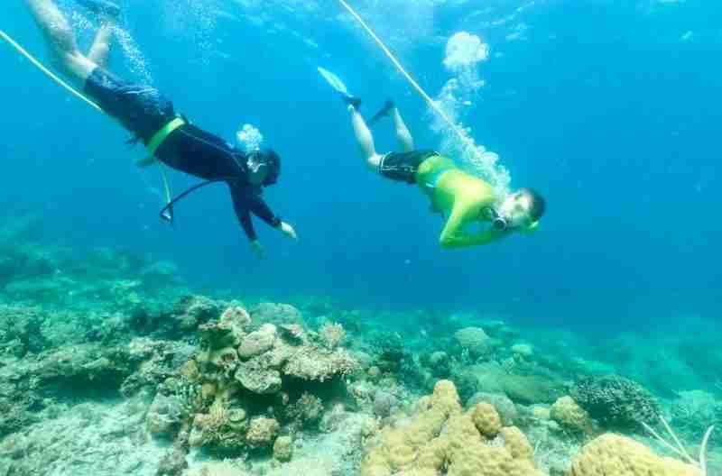 Yacht For Rent Coron Boat rental in Palawan The Luxe Guide