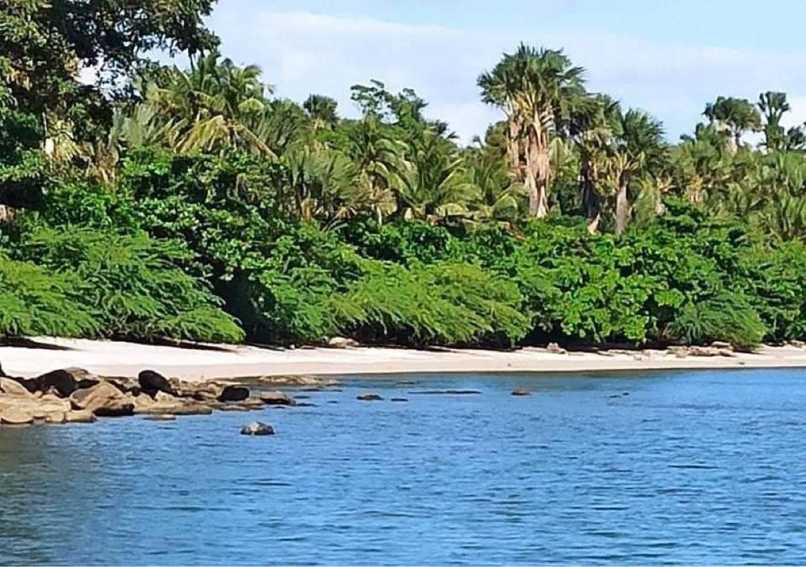 Beachfront Lot, Quezon The Luxe Guide