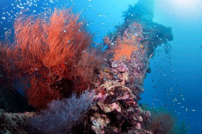 West Coron Cruise and wrecks (2)