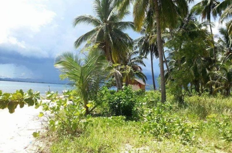 12 Private Islands For Sale in the Philippines The Luxe Guide